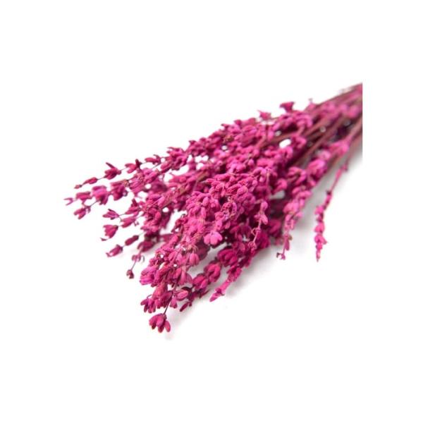 【プリザーブド】フロールエバー/ラベンダー/約30ｇ/約80束/ダークピンク/FL835-930