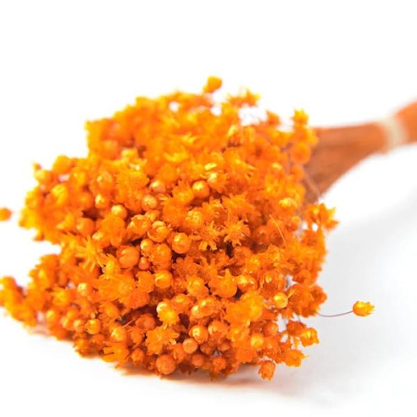 【ドライ】フロールエバー/マルセラ/1束/約15g/オレンジ/FLDR0012-820