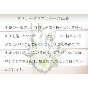 【送料無料】仏花 プリザーブドフラワー お供え...の詳細画像1