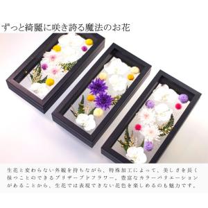 【送料無料】仏花 プリザーブドフラワー お供え...の詳細画像1