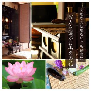 【送料無料】仏花 プリザーブドフラワー お供え...の詳細画像2