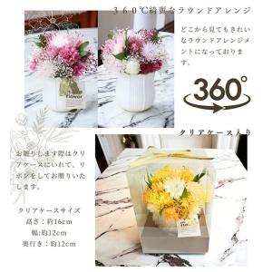 プリザーブドフラワー 誕生日 ポットアレンジ ...の詳細画像2