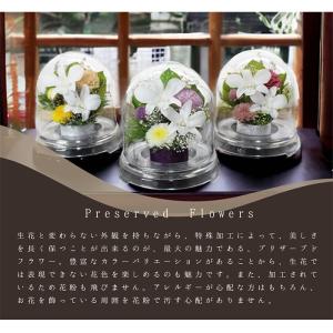 仏花 プリザーブドフラワー お供え お花 お悔...の詳細画像1