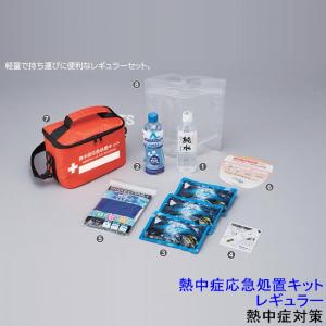 熱中対策ウォッチ カナリア plus 夏 熱中症 対策 爆買 現場 在庫限り