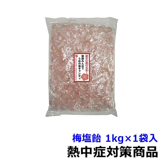 熱中飴 熱中症対策 梅塩飴 1kg (375762) 夏の塩分水分補給 暑さ対策 作業 あめ 塩