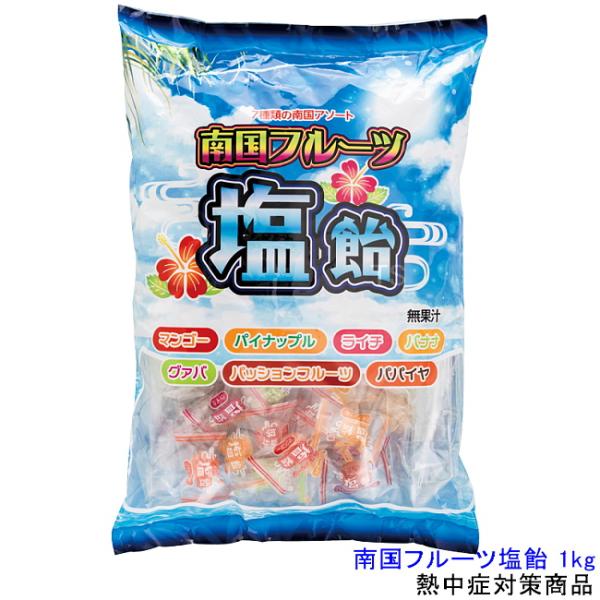 熱中症対策 南国フルーツ塩飴 1kg （HO-326） 塩分水分補給 暑さ対策 作業