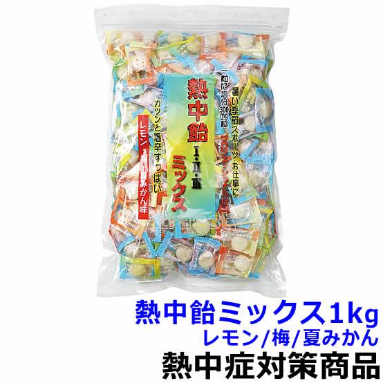 熱中飴ミックス 1kg レモン・梅・夏みかん味 熱中症対策 塩