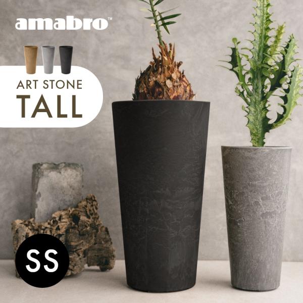 amabro アマブロ アートストーン トール TALL 鉢 SSサイズ