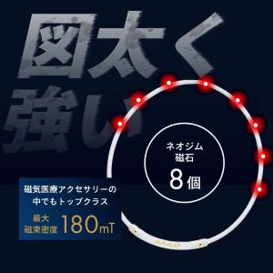 BANDEL x muta バンデル ムータ ...の詳細画像4