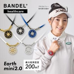 RAKUWA ファイテン ネック X100 カーボン シルバー サイズ50cm