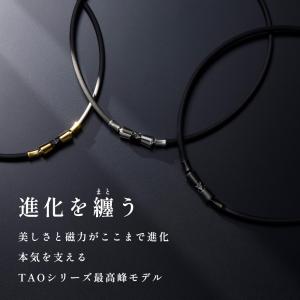 Colantotte コラントッテ 磁気ネック...の詳細画像1