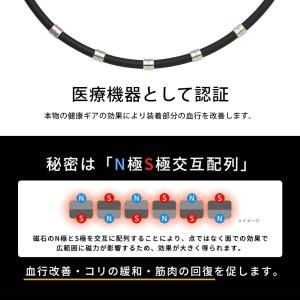 Colantotte コラントッテ ワックルネ...の詳細画像2