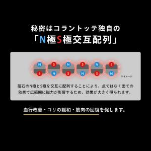 Colantotte コラントッテ ネックレス...の詳細画像3