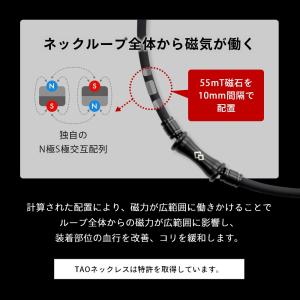 Colantotte コラントッテ TAO ネ...の詳細画像4