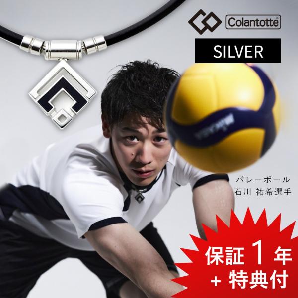 Colantotte コラントッテ TAO ネックレスα ARAN アラン シルバー 磁気ネックレス