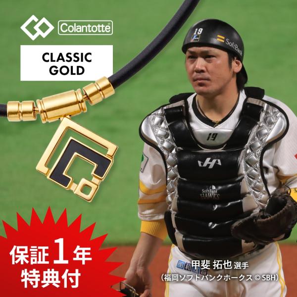 Colantotte コラントッテ TAO ネックレス α ARAN アルファ アラン クラシックゴ...