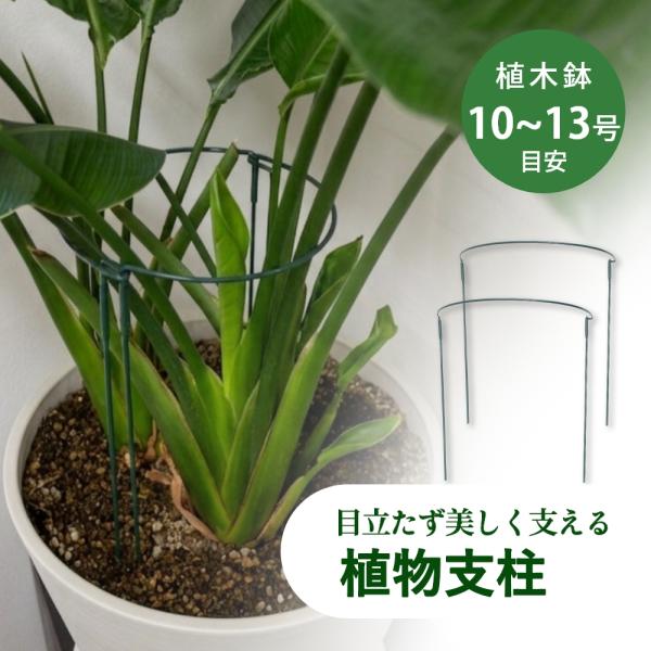 完成品 植物支柱 園芸支柱 半円 10?13号対応 1set（2個）観葉植物 園芸 おしゃれ ガーデ...