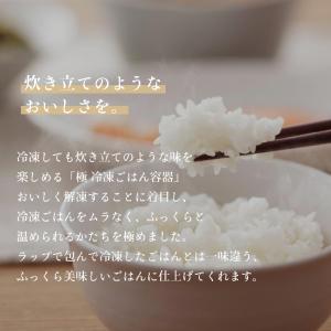 マーナ marna 極 冷凍ごはん容器 小 4...の詳細画像1
