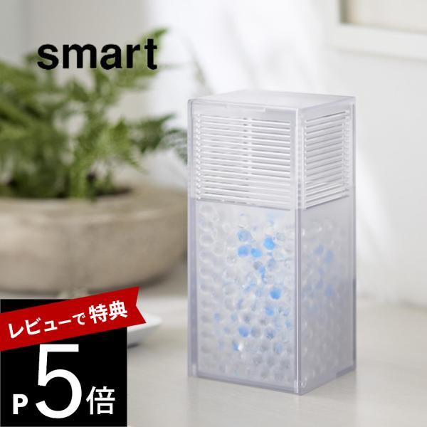 山崎実業 ツーウェイ消臭ビーズケース スマート smart 3327