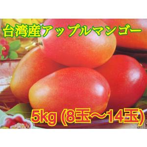予約販売　台湾産アップルマンゴー　5kg｜transworld-fruits