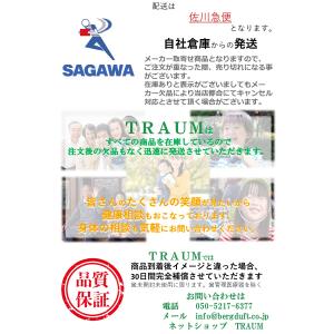 エバニュー シャフトラックBK Fの詳細画像1