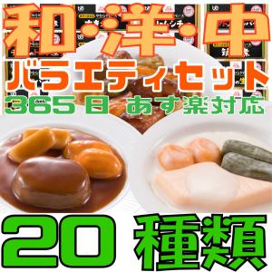 エバースマイルムース食 和・洋・中 主菜 20品セット