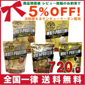 GOLD'S GYM ゴールドジム ホエイプロテイン チョコレート風味 1.5kg