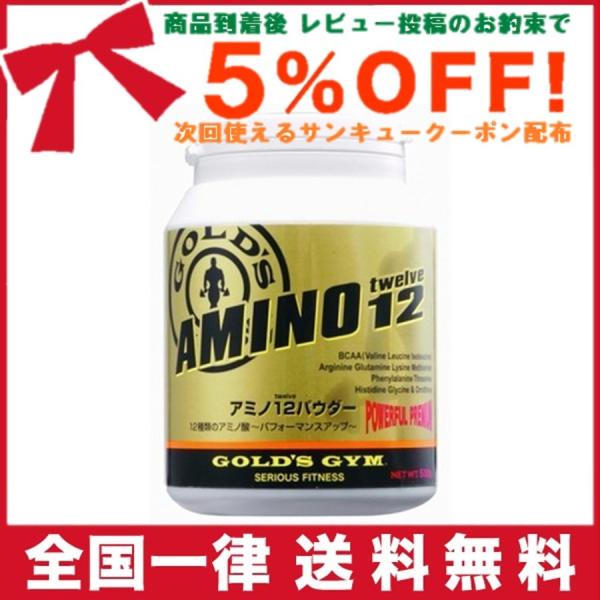 ゴールドジム BCAA アミノ12パウダー 300g GOLD'S GYM(ゴールドジム)