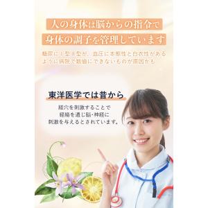 マグレイン円錐粒 75枚 阪村研究所 TRAU...の詳細画像4