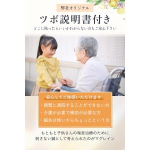 マグレインファイブ 75枚入り枚入り 金粒 阪...の詳細画像5