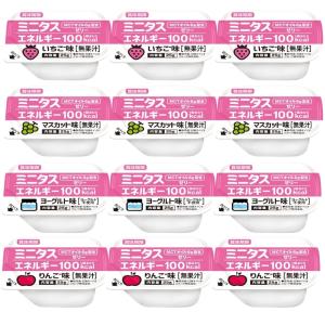ミニタス　エネルギー 4種セット 各2個 計8個