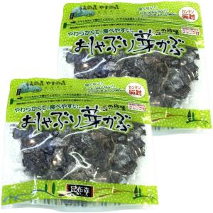 ＼ 27%OFF 訳アリ商品 ／おしゃぶり芽かぶ 95g×2袋セット