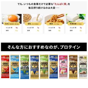ザバストライアル プロテイン 単品10包セット...の詳細画像3