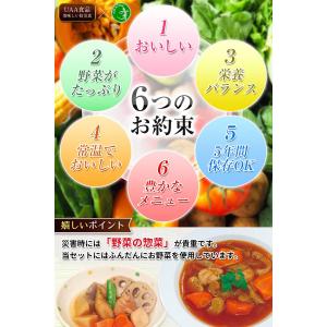 美味しい防災食 保存食 21食 セット 5年 ...の詳細画像3