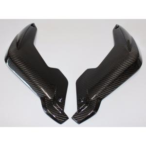 BMW R1100S カーボンフロントフェンダー : 輸入パーツ専門 Traumauto