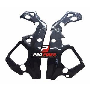 BMW S1000RR 15-18年 カーボンフレームカバー 左右セット : 輸入パーツ