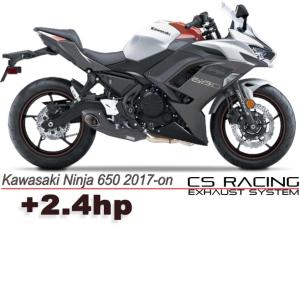 Kawasaki ZX-6R 09-12年 CS Racing テイラーメイドスタイル スリップ