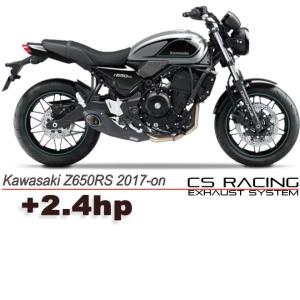 Z650RS リングポジション・LEDテールランプ (クリアレンズ