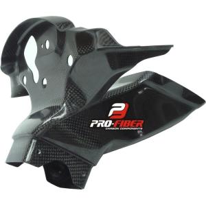 Kawasaki ZX-10R 11-15年 カーボンスイングアームカバー 左右セット