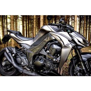 エンジンガード Z1000SX NINJA1000 2011-2020 スタントケージ