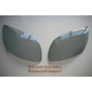 Kawasaki ZX-12R 02-06年 ヘッドライトプロテクター : 輸入パーツ専門