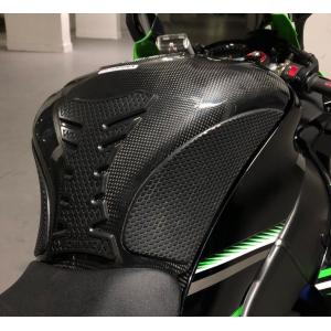 Kawasaki ZX-10R 16-22年 カーボンスイングアームカバー : 輸入パーツ