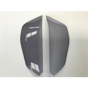 BMW KTM 890 DUKE R 20-22年 ヘッドライトプロテクター : 輸入パーツ