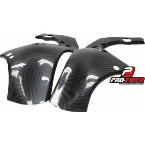 Kawasaki ZX-10R 08-10年 カーボンフレームカバー 左右セット : 輸入