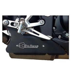 SUZUKI GSX-S1000/GSX-S1000F 15-20年 PRO-RACE GP-S1エキゾースト