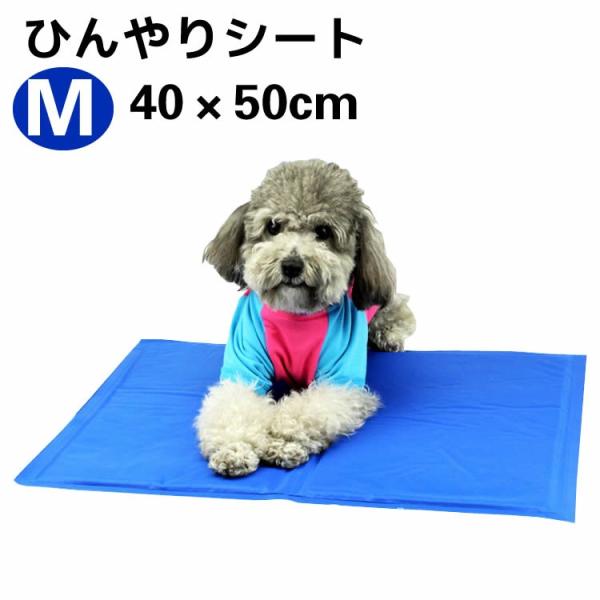 ペットクールマット Mサイズ ペット用ひんやりマット 40×50cm 犬猫用 ひえひえ爽快 冷えマッ...