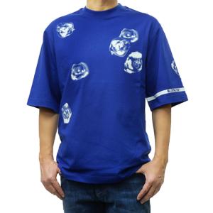 BURBERRY バーバリー メンズクルーネックTシャツ 81048891 / SP