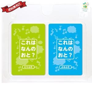 これはなんのおと？これはなんの音？ アーテック かるた 読み上げアプリ 知育 カード ゲーム 擬音 オノマトペ 日本語 カルタ 送料無料 翌営業日出荷｜トレジャービレッジ