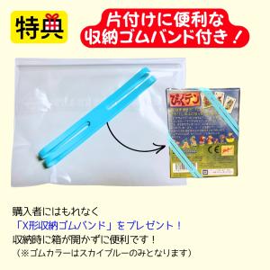 【収納ゴムバンド特典付き】ぴっぐテン Pig ...の詳細画像1
