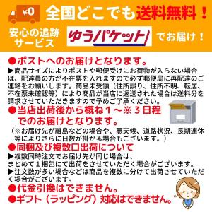 【収納ゴムバンド特典付き】ぴっぐテン Pig ...の詳細画像5